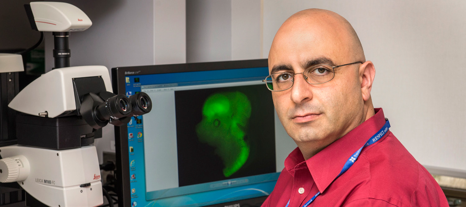 Alain Dabdoub Vice Chair Research