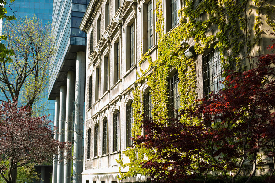 David Naylor building