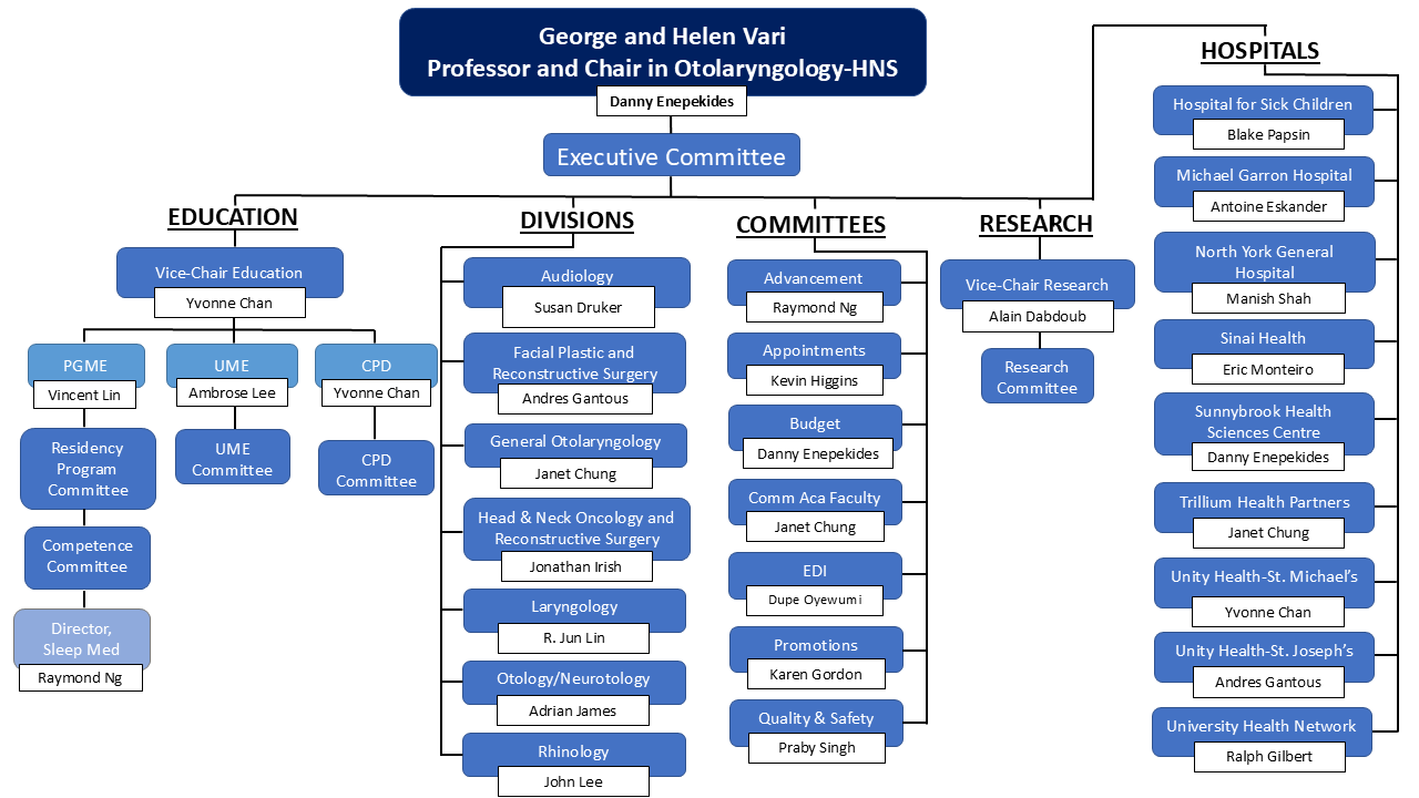 structure of the department